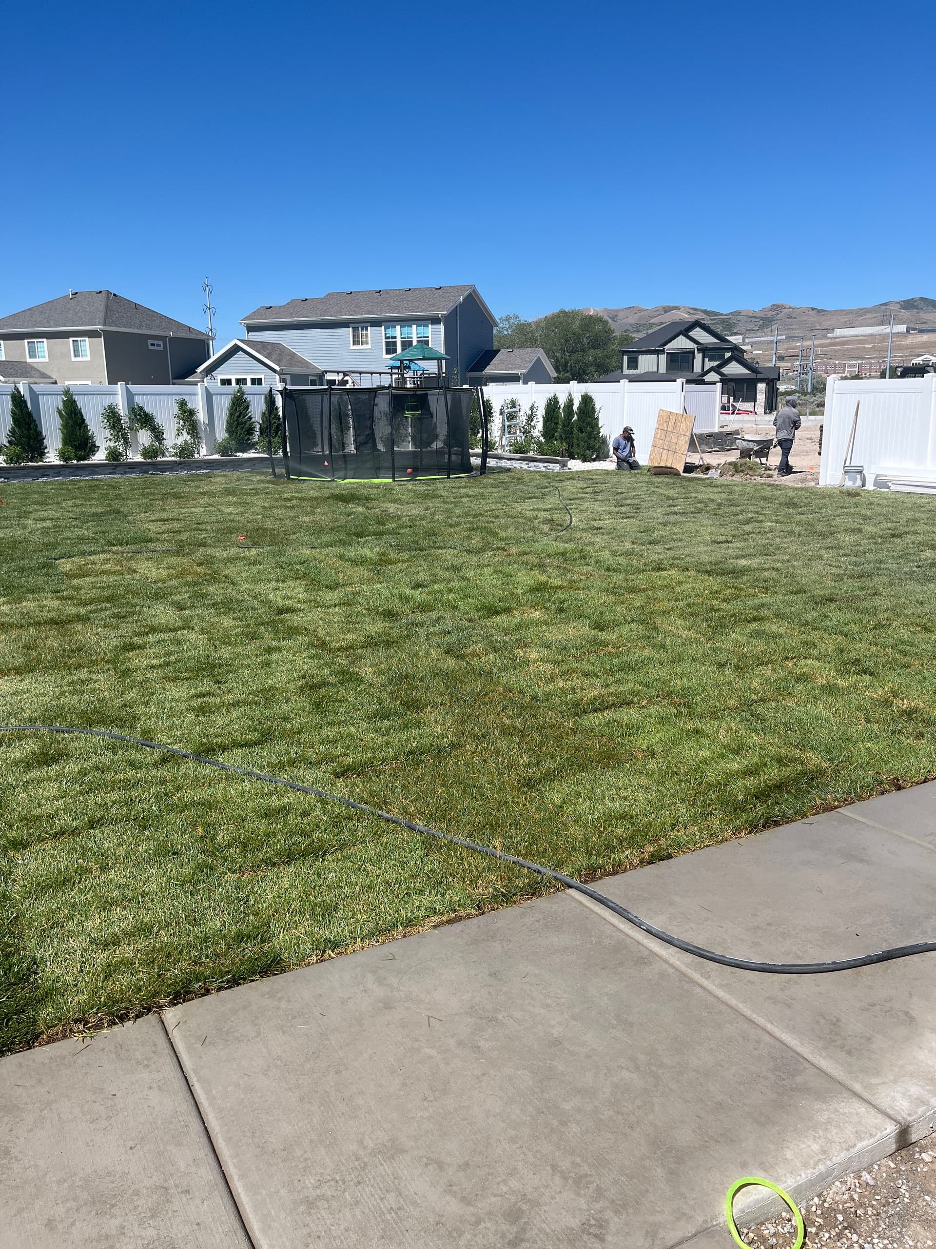 Gallery photos for Custom Pool and Sod Installation Backyard Build Coming Together: Image #1