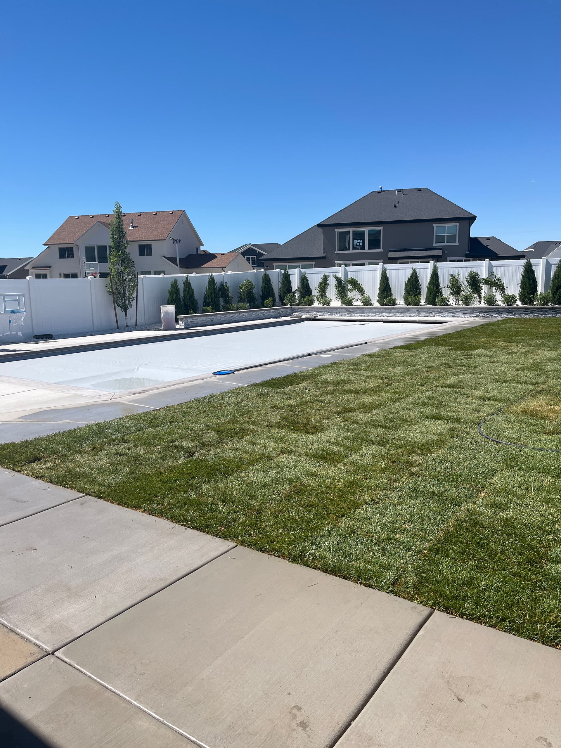 Custom Pool and Sod Installation Backyard Build Coming Together image